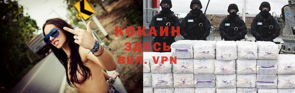 ПСИЛОЦИБИНОВЫЕ ГРИБЫ Касимов