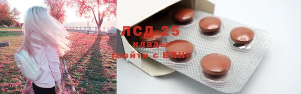 ПСИЛОЦИБИНОВЫЕ ГРИБЫ Касимов