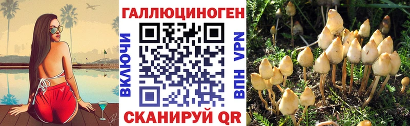 Купить  Богородицк  Псилоцибиновые грибы Cubensis 